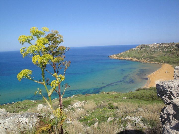 Ramla Bay - Gozo Ramla Bay - Gozo