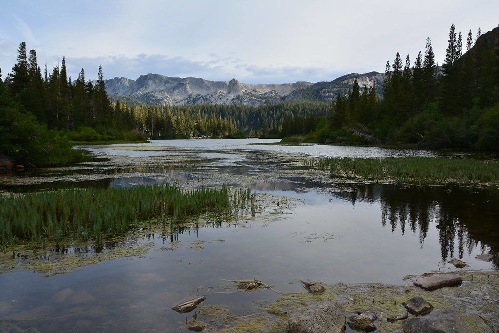 Mammoth Lakes