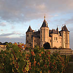 Le château de Saumur à l'automne
