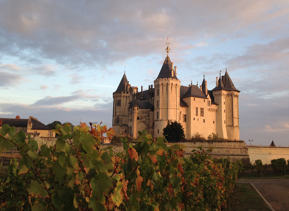 Le château de Saumur à l'automne