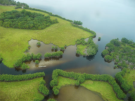 Vue aérienne Loango parc