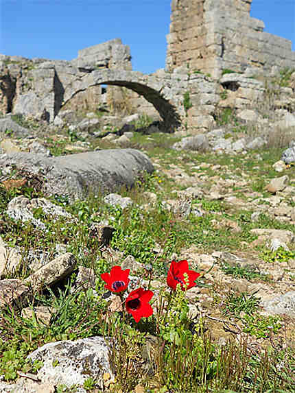 Palestra (période romaine)