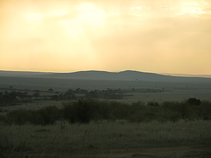 Crépuscule au Massaï-Mara