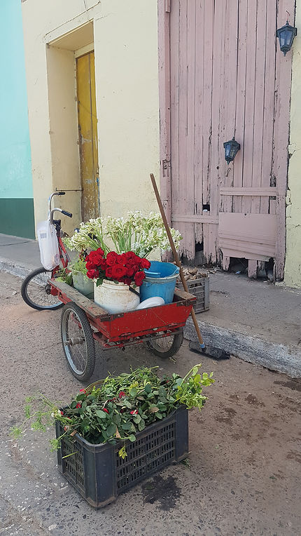 Stand de fleurs à Trinidad