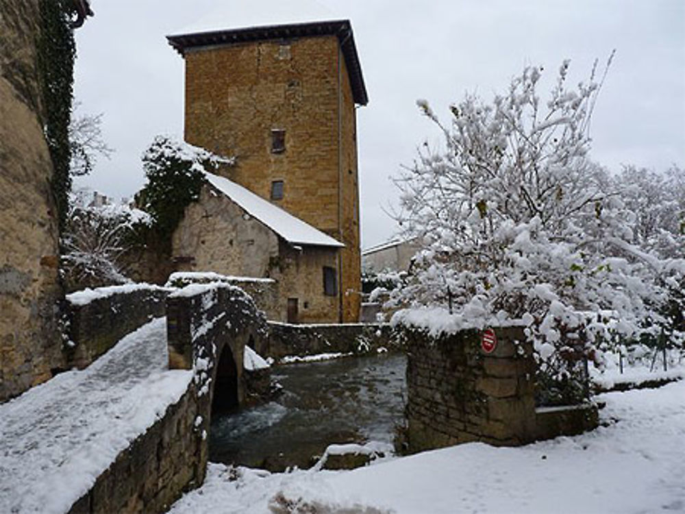 La Tour Gloriette - Arbois