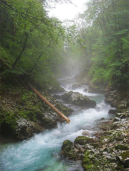 Gorges de Vintgar