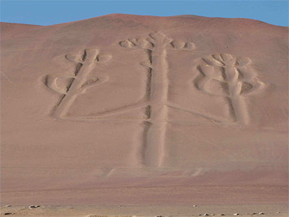 Le chandelier de Paracas