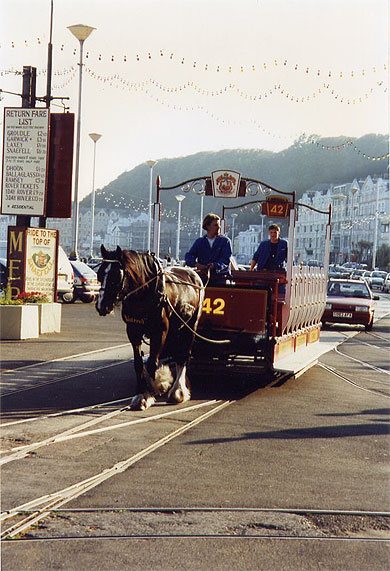 Tram hippomobile Tram hippomobile