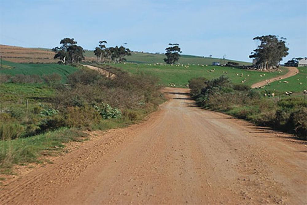 Routes non revetues à proximité de la réserve De Hoop