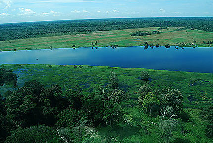 Paysage du nord de Mbandaka