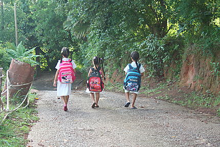 Sur la route de l'école à Praslin