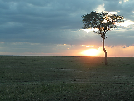 Crépuscule au Massaï-Mara