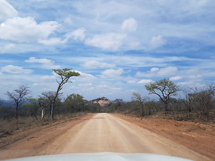 Sur la route de Kruger, Afrique du Sud