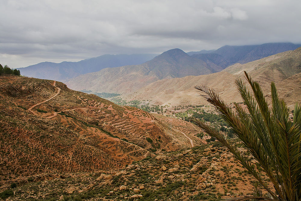Piste dans le sud Marocain