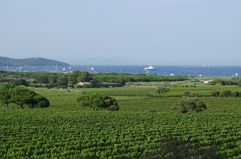 Baie de Pampelonne