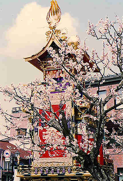 Char et sakura au festival de printemps de Takayama