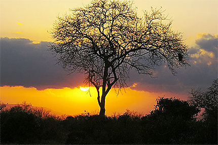 Coucher de soleil au Tsavo