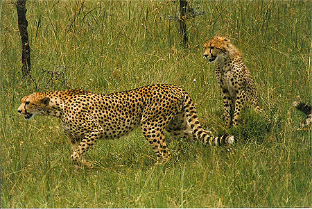 Prêt pour le sprint Prêt pour le sprint