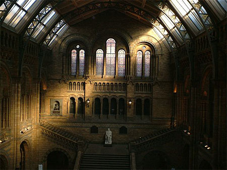 Musée des sciences et histoire Musée des sciences et histoire