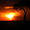 Coucher de soleil au Massaï-Mara