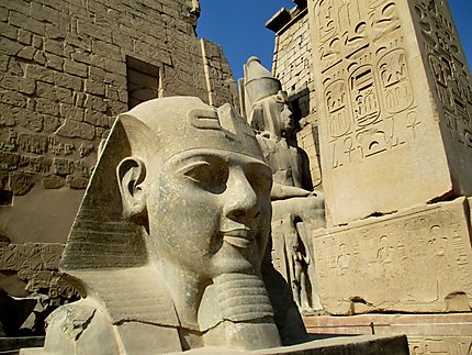 Buste statue brisée de Ramsès II