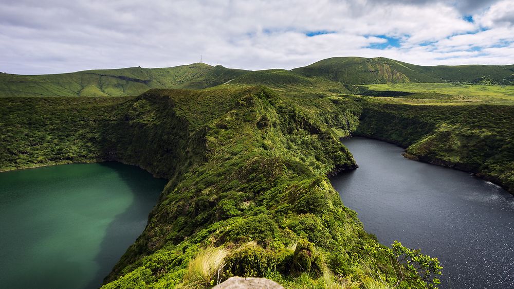 Flores - Açores