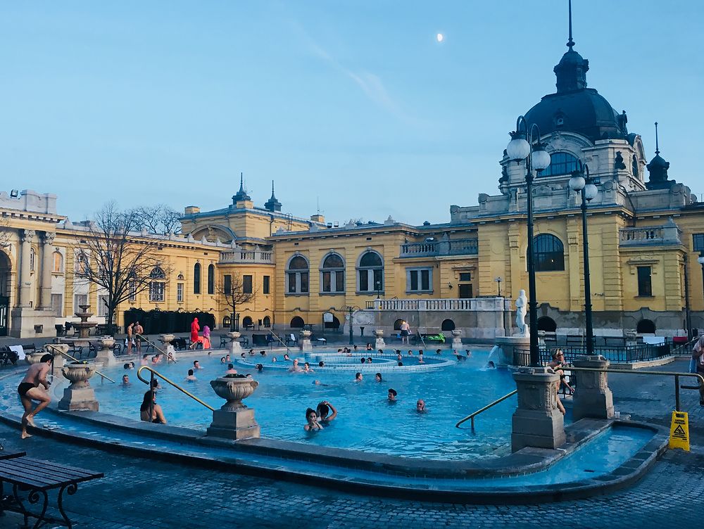 Les bains au Bois de la Ville