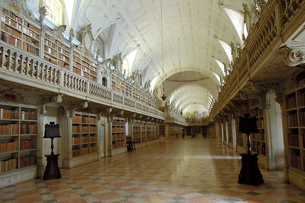 Bibliothèque du palais national de Mafra