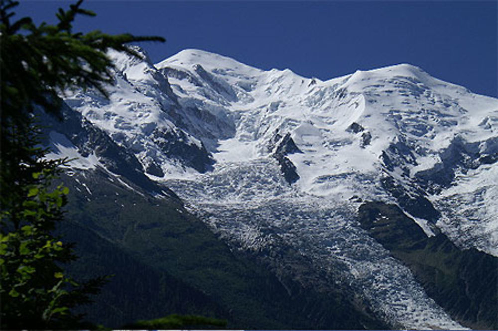 Le Glacier des Bossons