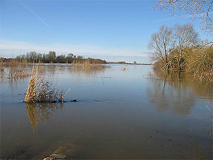 La Loire à Châteauneuf