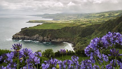 Sao Miguel - Açores