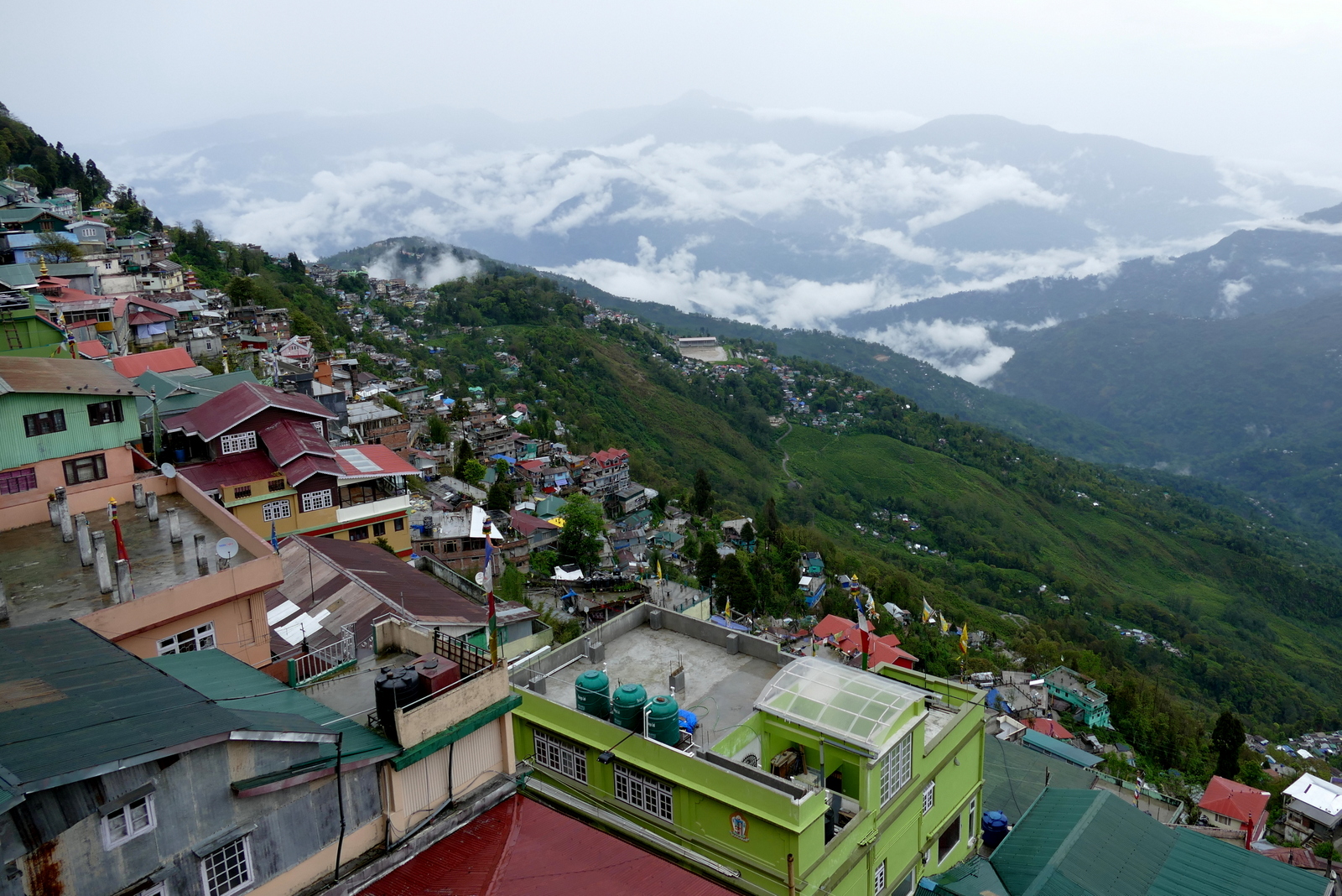 Darjeeling Darjeeling
