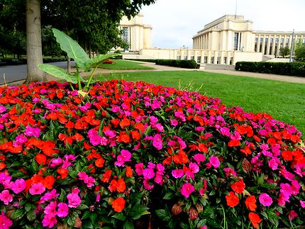 Les jardins du Trocadéro (Palais de Chaillot) 