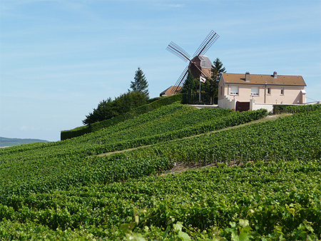 Moulin de Verzenay Moulin de Verzenay
