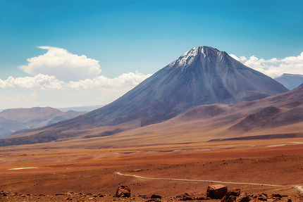 Chili, quand le désert d'Atacama devient jardin