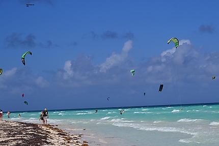Cuba préservé Playa de las Gaviotas