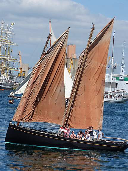 Joli voilier Brest 2016 