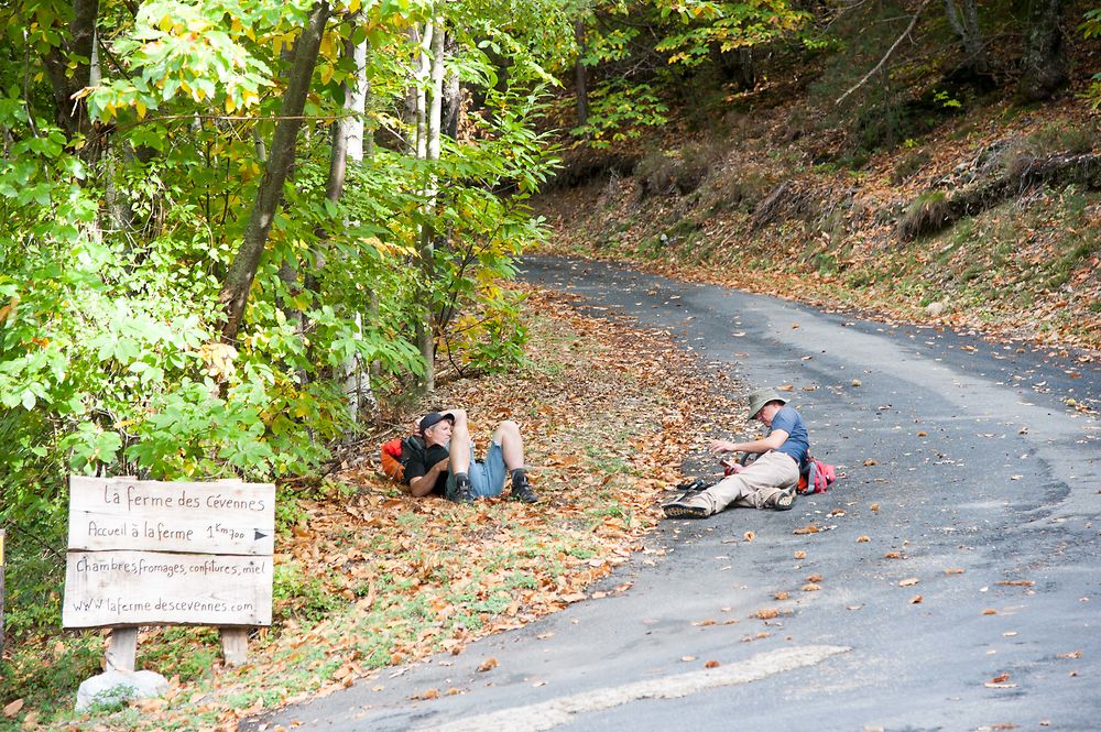 Route des Cévennes, sur le chemin de Stevenson