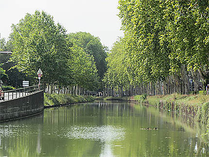 Le Canal du Midi à Toulouse, 4e bief (bief Bayard) en amont du Port St Sauveur au pont des Demoiselles