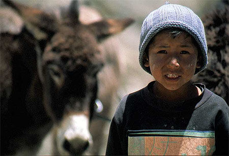 Bolivie, garçon et son âne