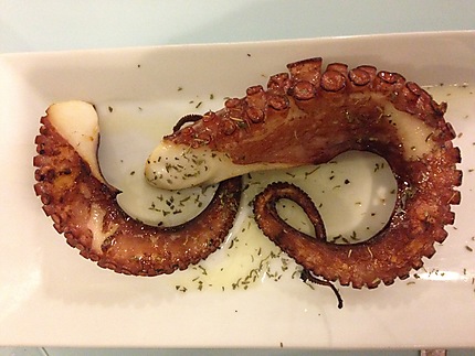 Poulpe - Octopus