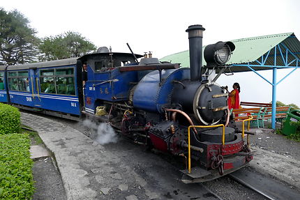 Le petit train de Darjeeling