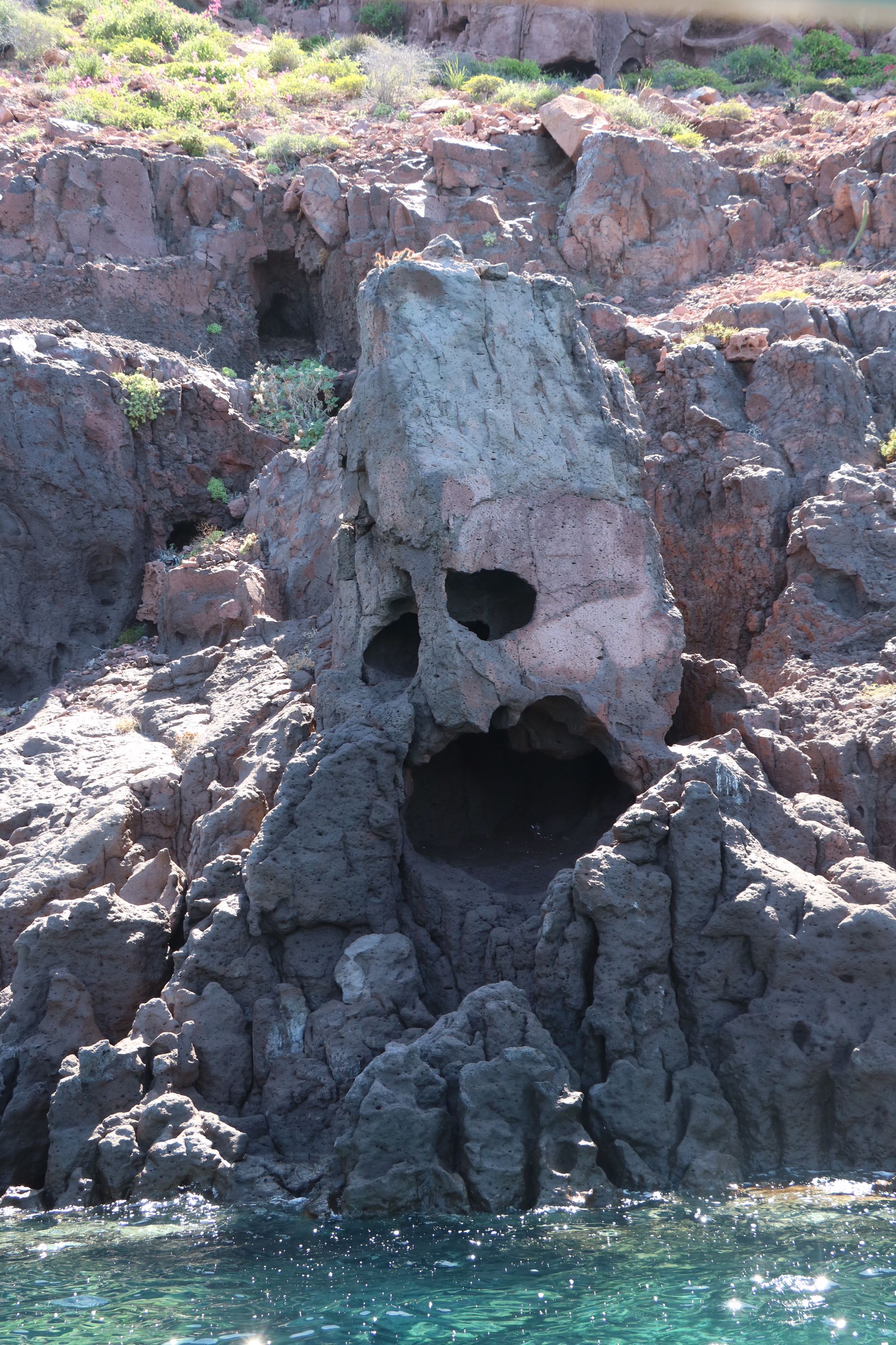 Crâne caché parmi les rochers