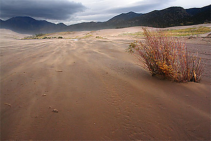 Great sand dunes