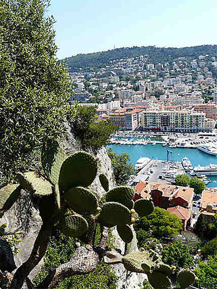 Vieux Port de Nice