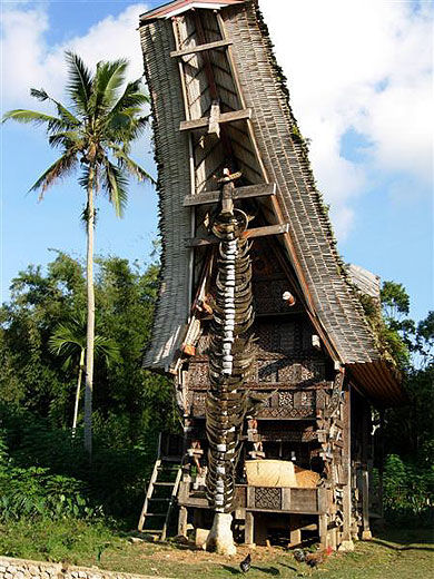 Maison typique dans le pays Toraja