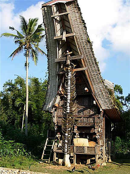 Maison typique dans le pays Toraja  Rantepao Pays 