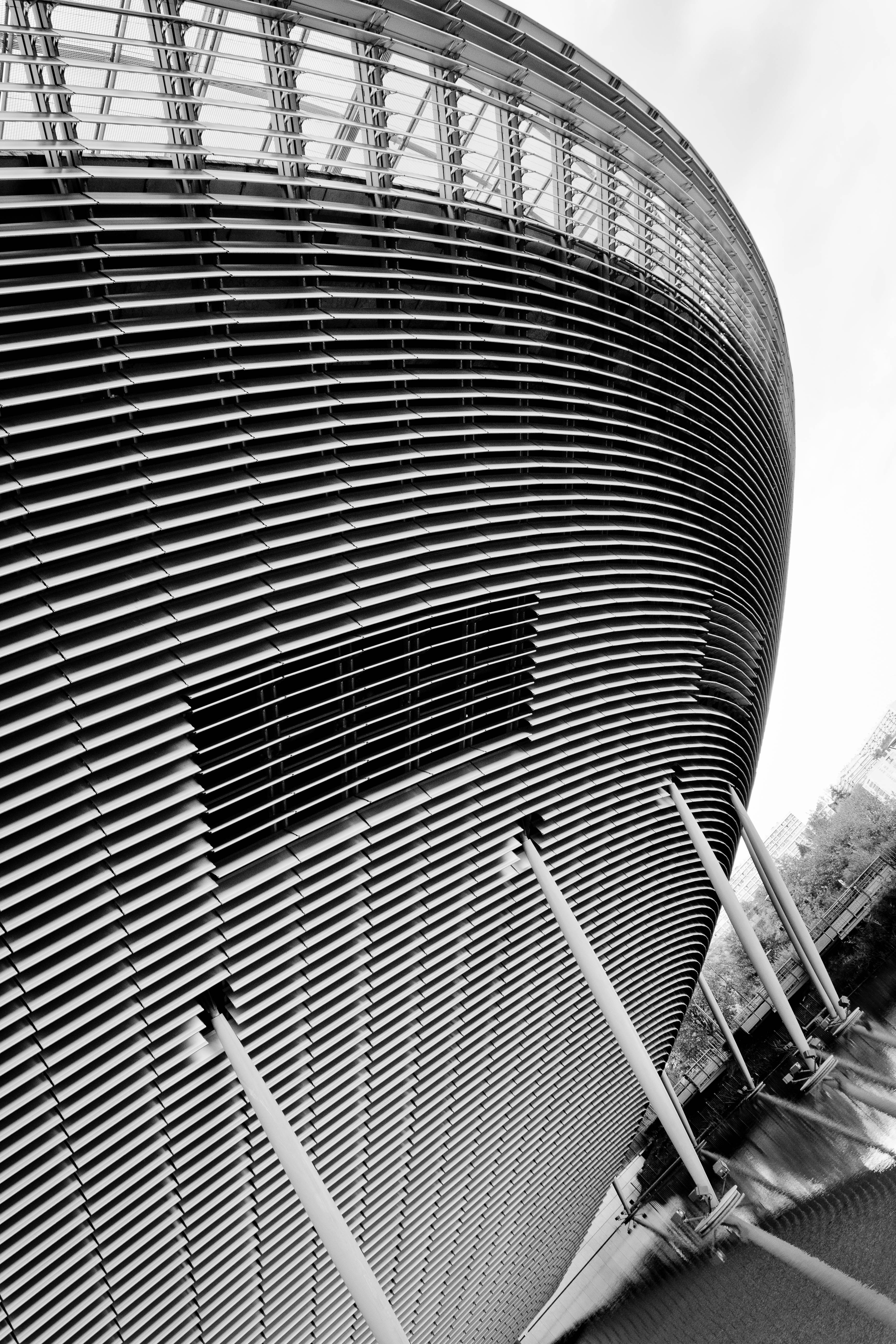 Cité Internationale - L'Amphithéâtre Cité Internationale - L'Amphithéâtre