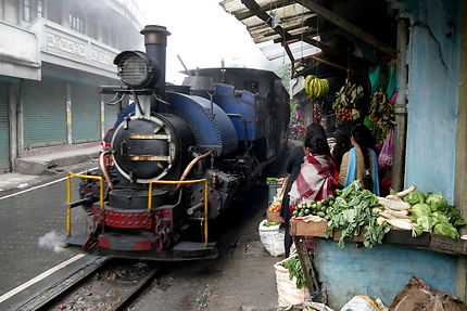 Le petit train de Darjeeling