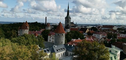 Les toits de Tallinn (ville basse)